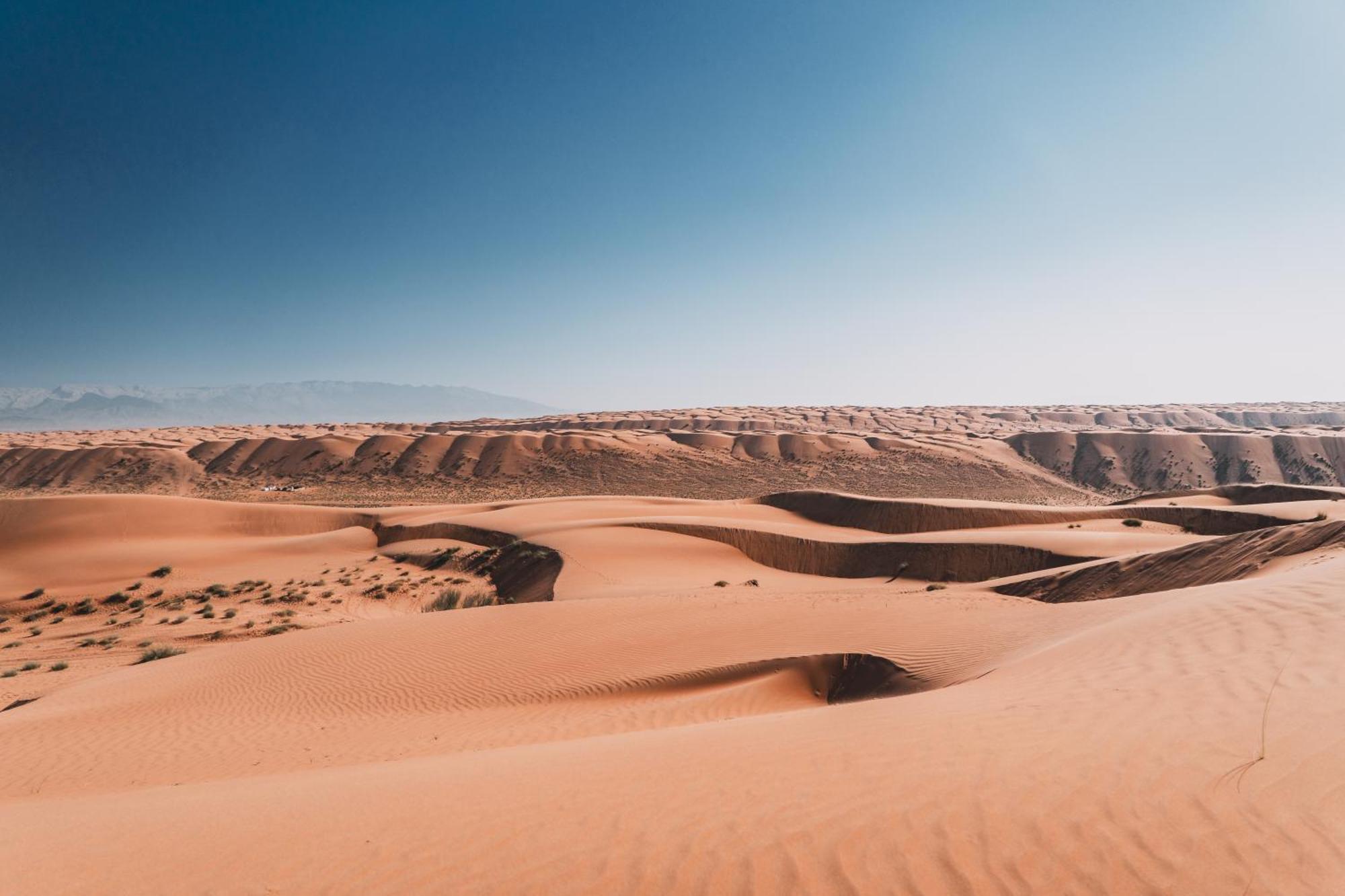 Hamood Desert Private Camp Al Wāşil Dış mekan fotoğraf