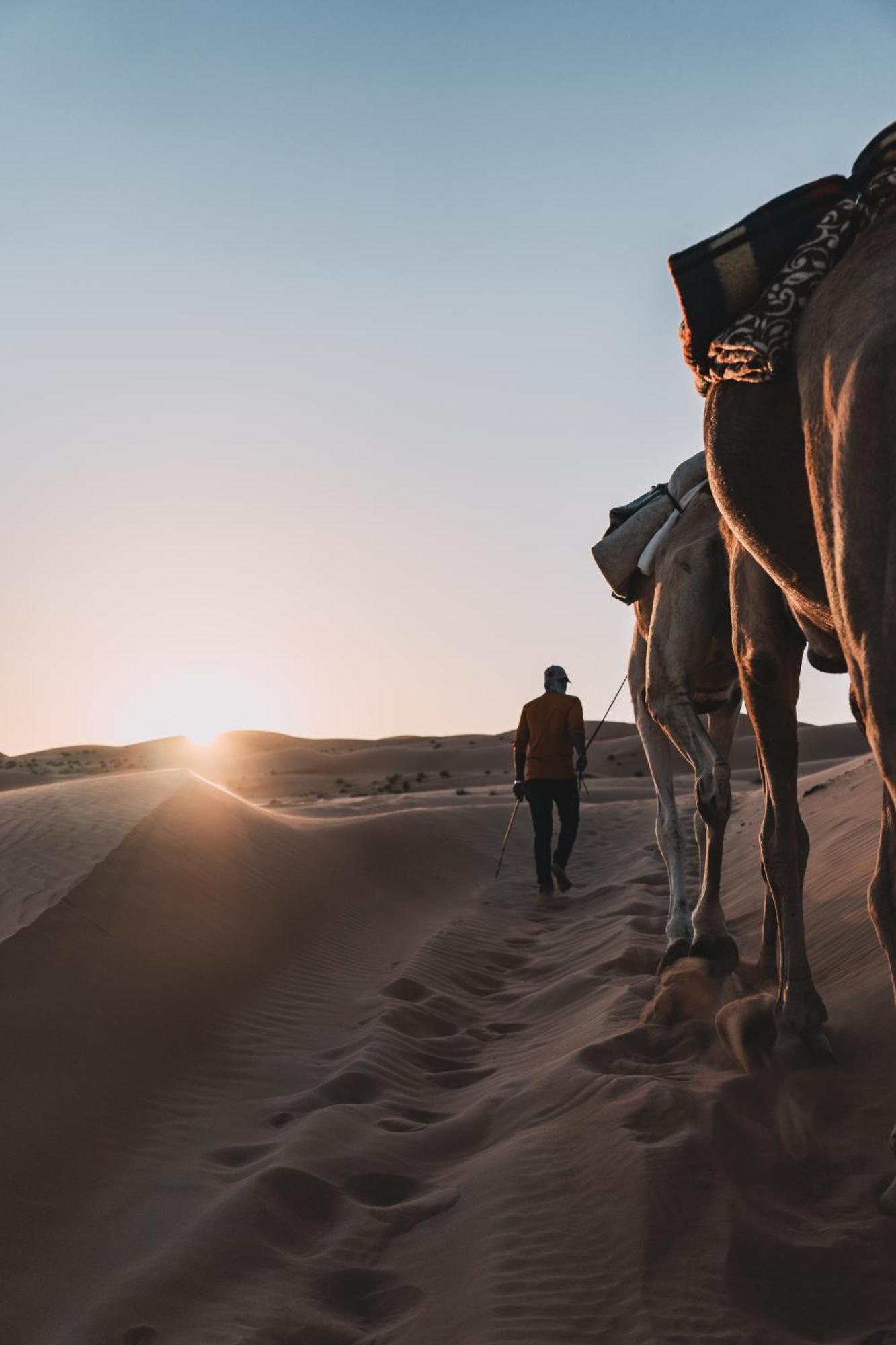 Hamood Desert Private Camp Al Wāşil Dış mekan fotoğraf