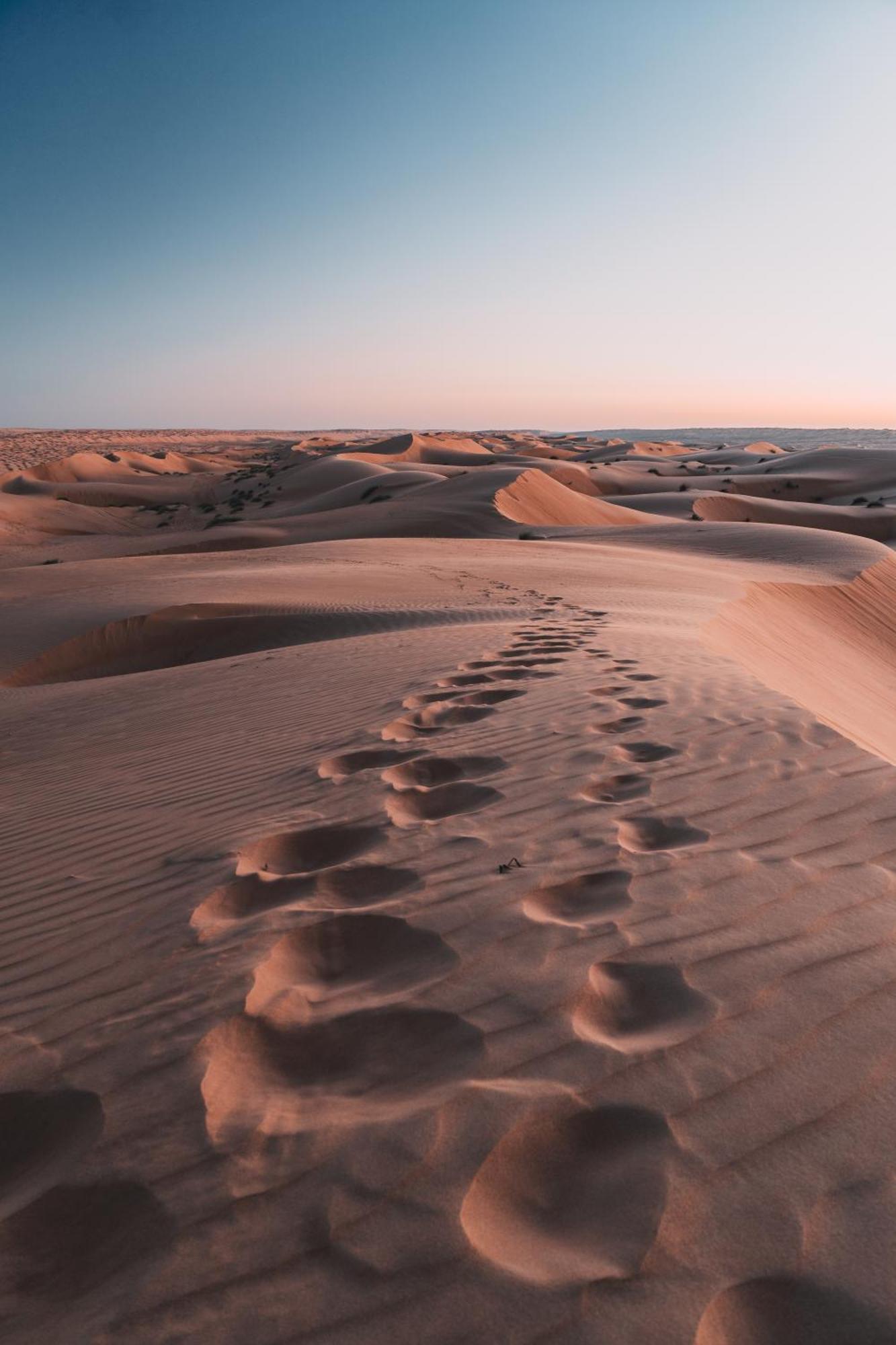 Hamood Desert Private Camp Al Wāşil Dış mekan fotoğraf