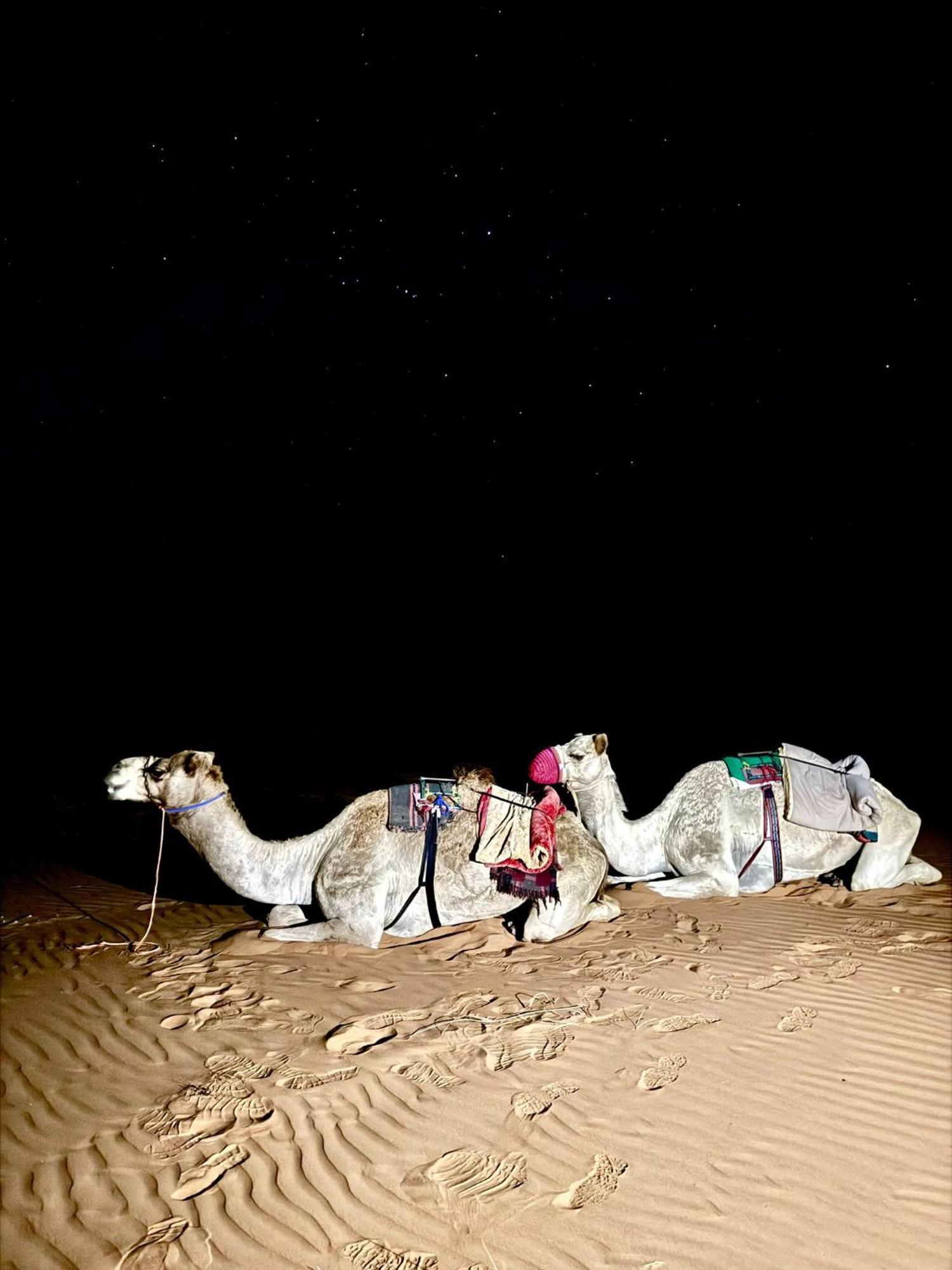 Hamood Desert Private Camp Al Wāşil Dış mekan fotoğraf